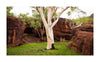 Kakadu National Park Fototour - 1 tot 5 december 2024 - slechts 6 plaatsen!!! 