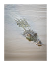 Kakadu National Park Fototour - 1 tot 5 december 2024 - slechts 6 plaatsen!!! 