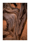 Zion National Park & UTAH, USA - Photography Workshop - November 7th to 17th - 2025 - 1 PLACE LEFT!!