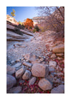 Zion National Park & UTAH, USA - Photography Workshop - November 7th to 17th - 2025 - 1 PLACE LEFT!!