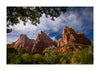 Zion National Park & UTAH, USA - Photography Workshop - November 7th to 17th - 2025 - 1 PLACE LEFT!!