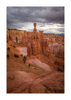 Zion National Park & UTAH, USA - Photography Workshop - November 7th to 17th - 2025 - 1 PLACE LEFT!!