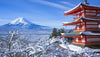 Japan Winter PhotoTour #2 - February 16th to 26th - 2026 - 6 Places Available